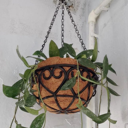 Macetero Colgante Redondo con Cadena – Estilo Coco para Suculentas y Plantas