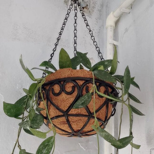 Macetero Colgante Redondo con Cadena – Estilo Coco para Suculentas y Plantas